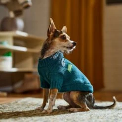 Frisco Teal Button Down Dog & Cat Sweater -Frisco 353580 PT7. AC SS1800 V1660749932