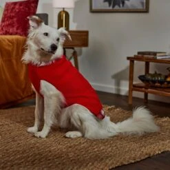 Frisco Plaid Cable Knit Dog & Cat Sweater 13 Frisco Plaid Cable Knit Dog & Cat Sweater -Frisco 353611 PT7. AC SS1800 V1660749926