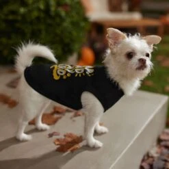 Frisco Nap Hard Play Hard Dog & Cat T-Shirt 14 Frisco Nap Hard Play Hard Dog & Cat T-Shirt -Frisco 353713 PT7. AC SS1800 V1660750172