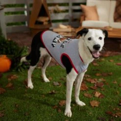 Frisco Little Champ Dog & Cat T-Shirt 14 Frisco Little Champ Dog & Cat T-Shirt -Frisco 353722 PT7. AC SS1800 V1660749632