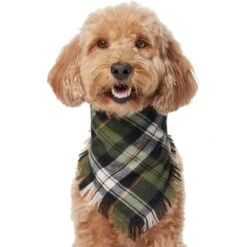 Frisco Plaid Fringe Dog & Cat Bandana 12 Frisco Plaid Fringe Dog & Cat Bandana -Frisco 353769 PT2. AC SS1800 V1659010812