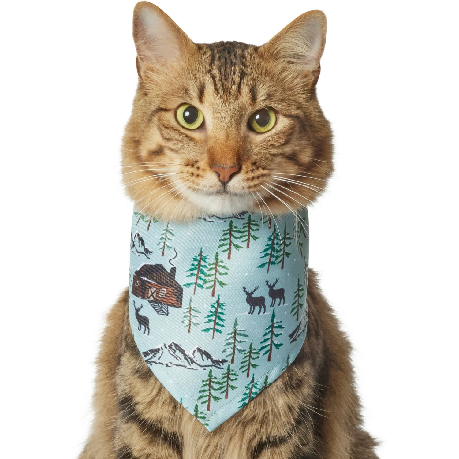 Frisco Moose Lodge Dog & Cat Bandana 3 Frisco Moose Lodge Dog & Cat Bandana