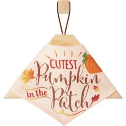 Frisco Cutest Pumpkin In The Patch Dog & Cat Bandana 14 Frisco Cutest Pumpkin In The Patch Dog & Cat Bandana -Frisco 353777 PT4. AC SS1800 V1663343389