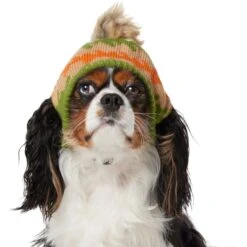 Frisco Striped Poof Dog & Cat Knitted Hat 10 Frisco Striped Poof Dog & Cat Knitted Hat -Frisco 353793 PT2. AC SS1800 V1659008241