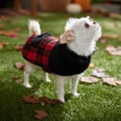 Frisco Mediumweight Plaid Faux Fur Dog & Cat Jacket 16 Frisco Mediumweight Plaid Faux Fur Dog & Cat Jacket -Frisco 353847 PT7. AC SS1800 V1661274842