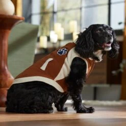 Frisco Lightweight Varsity Dog & Cat Jacket -Frisco 353861 PT7. AC SS1800 V1660749417