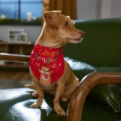 Frisco Cutest Reindeer Of All Dog & Cat Bandana -Frisco 357931 PT6. AC SS1800 V1661798487