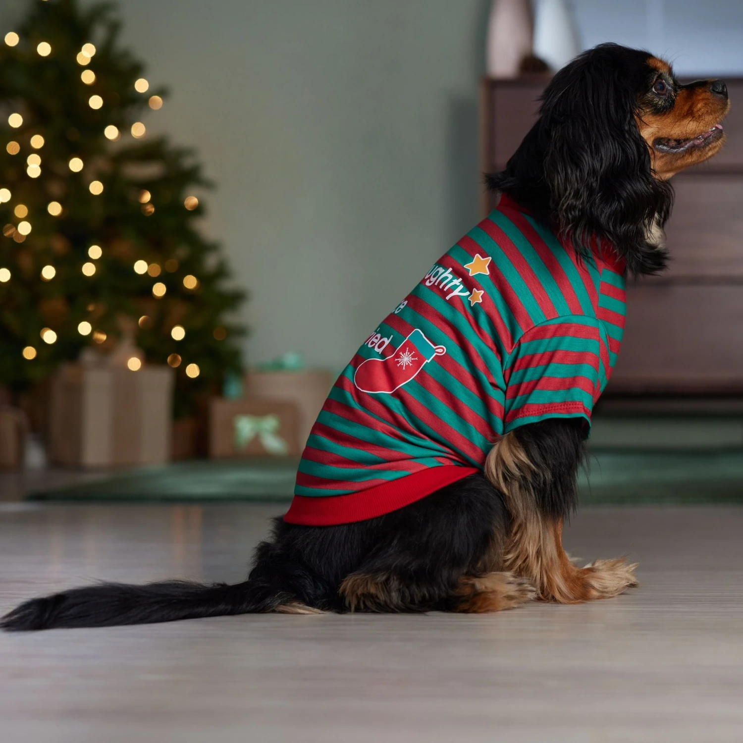 Frisco Naughty, Nice, I Tried Dog & Cat T-Shirt 8 Frisco Naughty, Nice, I Tried Dog & Cat T-Shirt - Image 6