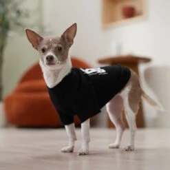 Frisco Big Boss Dog & Cat T-Shirt -Frisco 368782 PT7. AC SS1800 V1664992675