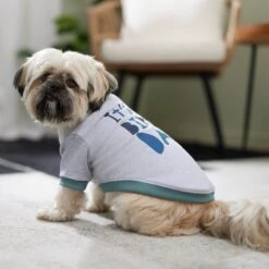 Frisco It's My Birth Day Dog & Cat T-Shirt -Frisco 368808 PT7. AC SS1800 V1664992107