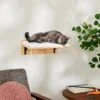 Frisco Cushioned Wall Mounted Cat Wall Shelf -Frisco 373443 MAIN. AC SS1800 V1673025637