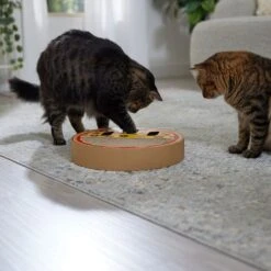 Frisco Interactive Maze & Scratch Cardboard Cat Toy With Catnip, Pizza -Frisco 506154 PT4. AC SS1800 V1669148129