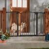 Frisco Outdoor Steel Arch Extra Wide Auto-Close Dog Gate -Frisco 507118 MAIN. AC SS1800 V1668737294
