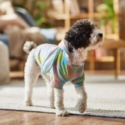 Frisco Wash Effect Bunny Ear Hoodie -Frisco 521374 PT7. AC SS1800 V1699653757