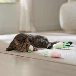 Frisco Easter Carrot Plush Cat Toy With Catnip -Frisco 550470 PT4. AC SS1800 V1702500564