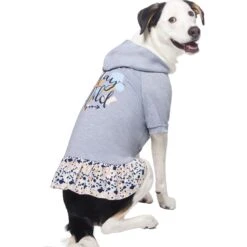 Frisco Stay Wild Dog & Cat Hoodie -Frisco 555366 PT3. AC SS1800 V1674829142