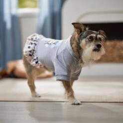 Frisco Stay Wild Dog & Cat Hoodie -Frisco 555366 PT6. AC SS1800 V1674829061