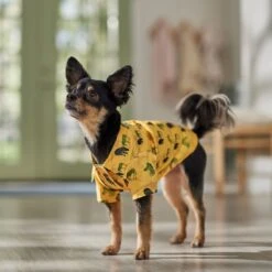 Frisco Safari Zebra Dog & Cat Shirt -Frisco 555566 PT7. AC SS1800 V1675099388