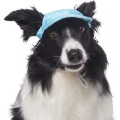 Frisco Blue Ocean Waves 30 + UPF Dog & Cat Beach Cap -Frisco 556182 PT3. AC SS1800 V1677530963