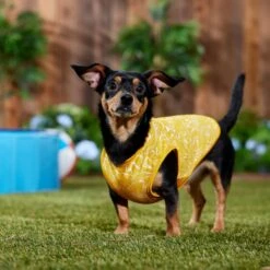 Frisco 30+ UPF Dog & Cat Beach Rash Guard -Frisco 556286 PT6. AC SS1800 V1675714036