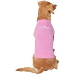 Frisco Personalized Basic Dog & Cat T-Shirt -Frisco 557438 PT2. AC SS1800 V1662738086