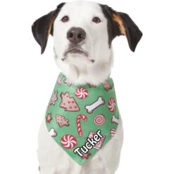 Frisco Gingerbread Treats Personalized Dog & Cat Bandana -Frisco 564502 PT6. AC SS1800 V1660405305