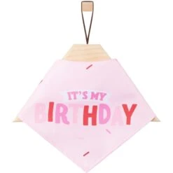 Frisco Dog & Cat Birthday Bandana