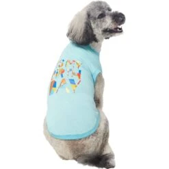 Frisco Birthday Celebration Dog & Cat T-Shirt -Frisco 608318 PT3. AC SS1800 V1676643253