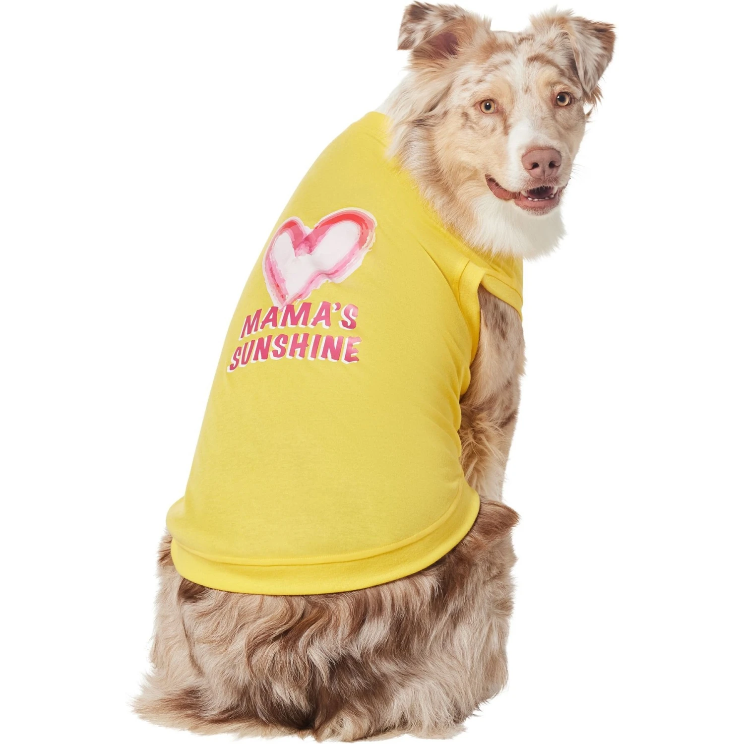 Frisco Mama's Sunshine Dog & Cat T-Shirt 5 Frisco Mama's Sunshine Dog & Cat T-Shirt - Image 3