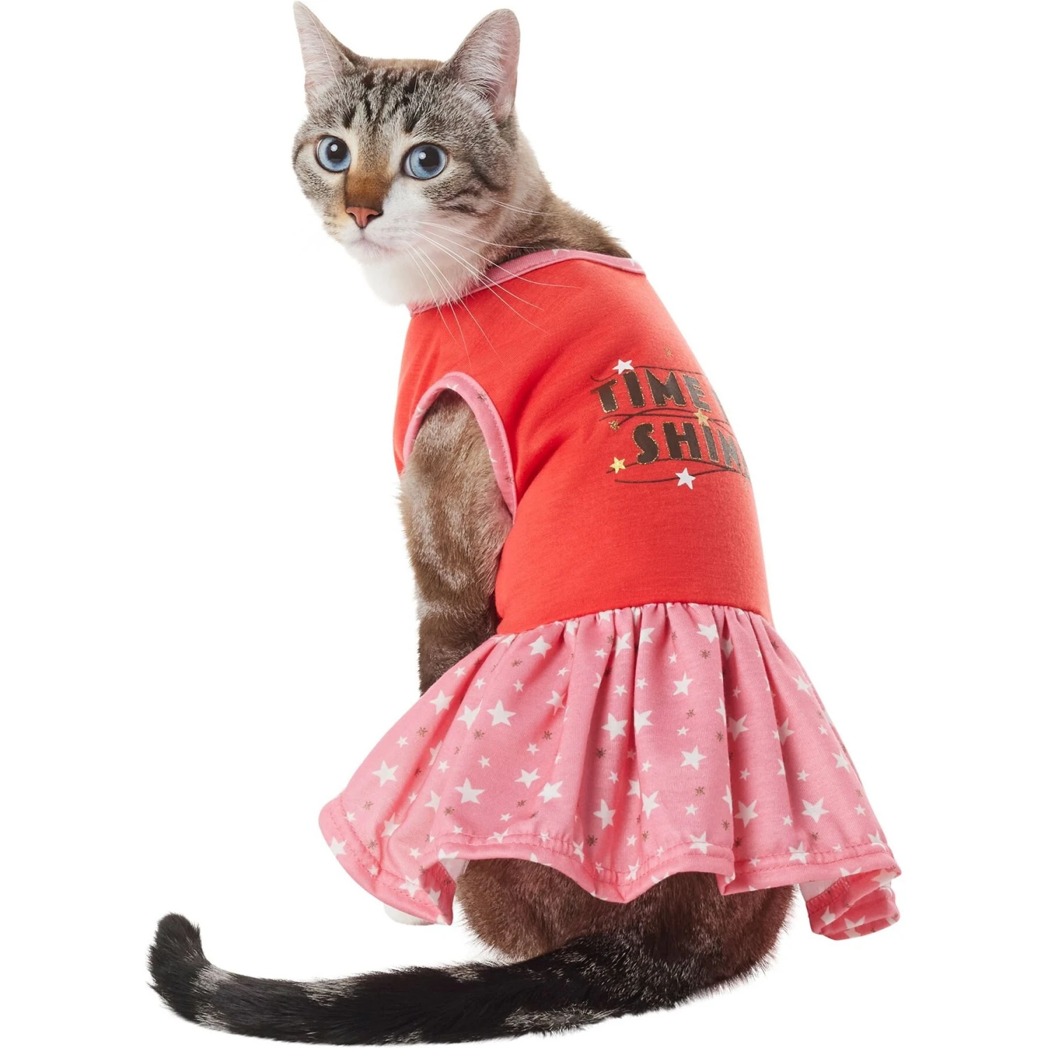 Frisco Time To Shine Dog & Cat Dress 5 Frisco Time To Shine Dog & Cat Dress - Image 3