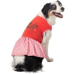 Frisco Time To Shine Dog & Cat Dress 12 Frisco Time To Shine Dog & Cat Dress -Frisco 608638 PT3. AC SS1800 V1676644904