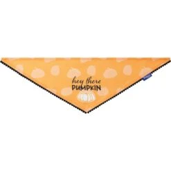 Frisco Hey There Pumpkin Dog & Cat Bandana 12 Frisco Hey There Pumpkin Dog & Cat Bandana -Frisco 706374 PT3. AC SS1800 V1689282446