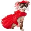Frisco Red Ruffle Dog & Cat Dress + Headpiece -Frisco 707286 MAIN. AC SS1800 V1689341622