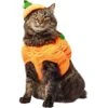 Frisco Pumpkin Ball Dog & Cat Costume -Frisco 708902 MAIN. AC SS1800 V1689351821