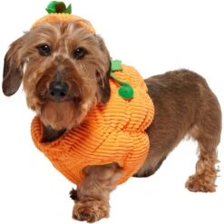 Frisco Pumpkin Ball Dog & Cat Costume -Frisco 708902 PT2. AC SS1800 V1689351041