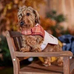 Frisco Medium Weight Fall Plaid Dog & Cat Coat -Frisco 717942 PT7. AC SS1800 V1692378457