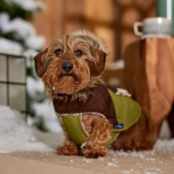 Frisco Heavy Weight 2-Tone Sherpa Lined Hybrid Quilted Dog & Cat Parka -Frisco 718038 PT7. AC SS1800 V1692378337