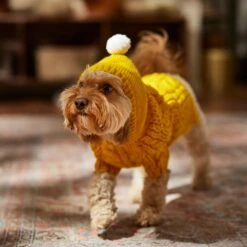 Frisco Sherpa Lined Chunky Cable Knit Dog & Cat Hooded Sweater 16 Frisco Sherpa Lined Chunky Cable Knit Dog & Cat Hooded Sweater -Frisco 718374 PT7. AC SS1800 V1692379031