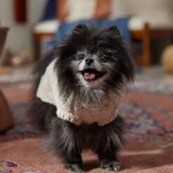 Frisco Sherpa Lined Chunky Cable Knit Dog & Cat Sweater -Frisco 718518 PT7. AC SS1800 V1692378338