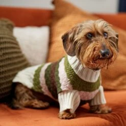 Frisco Bubble Knit Multi Striped Mock Neck Dog & Cat Sweater -Frisco 718854 PT7. AC SS1800 V1692378688