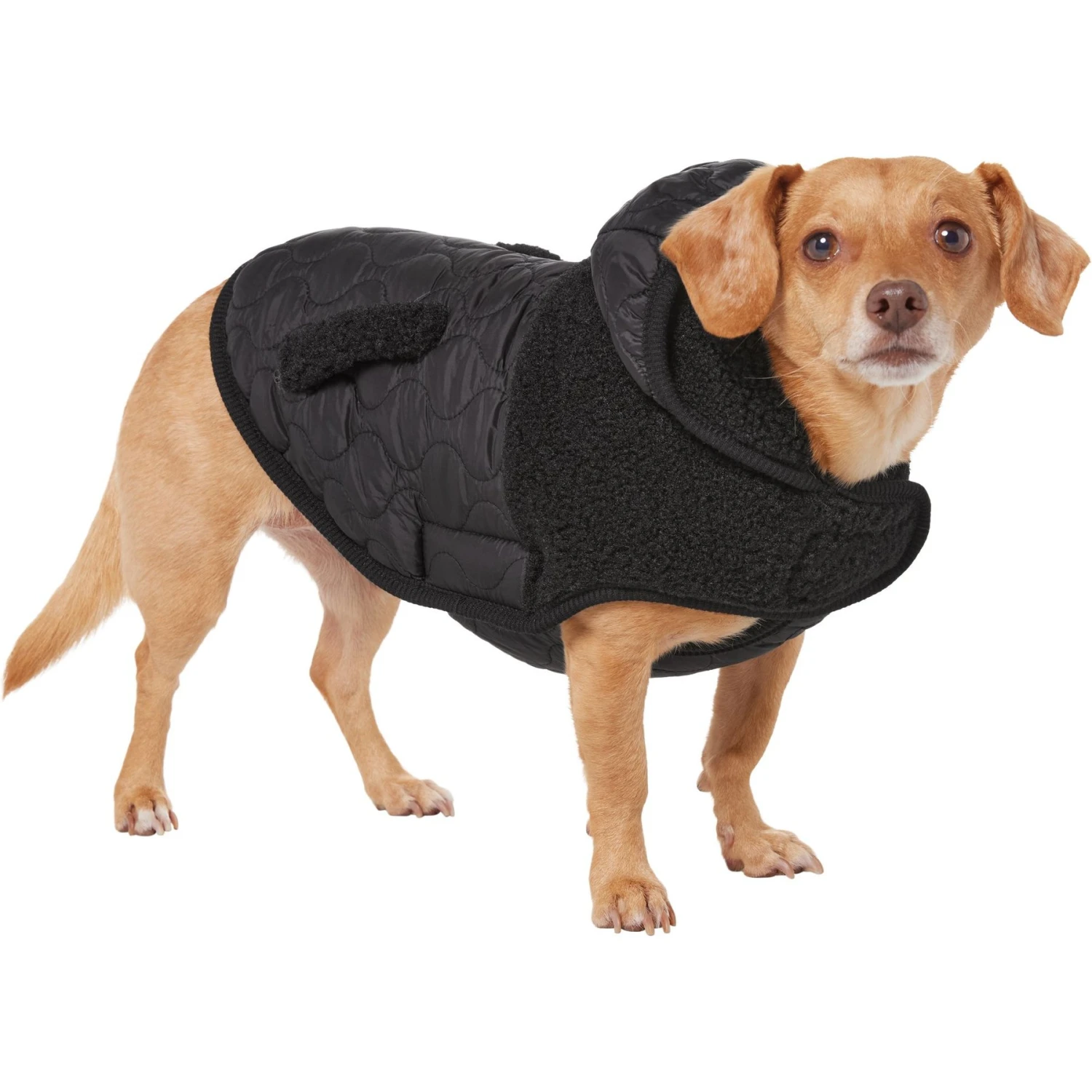Frisco Heavy Weight Dog & Cat Quilted Hybrid Coat With Sherpa Lining 5 Frisco Heavy Weight Dog & Cat Quilted Hybrid Coat With Sherpa Lining - Image 3