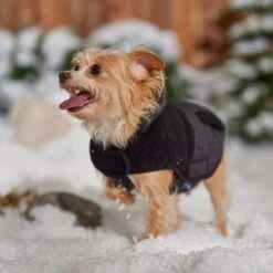 Frisco Heavy Weight Dog & Cat Quilted Hybrid Coat With Sherpa Lining 18 Frisco Heavy Weight Dog & Cat Quilted Hybrid Coat With Sherpa Lining -Frisco 719918 PT7. AC SS1800 V1692376306