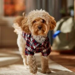 Frisco Red & Blue Plaid Dog & Cat Flannel Shirt -Frisco 720838 PT7. AC SS1800 V1693400998