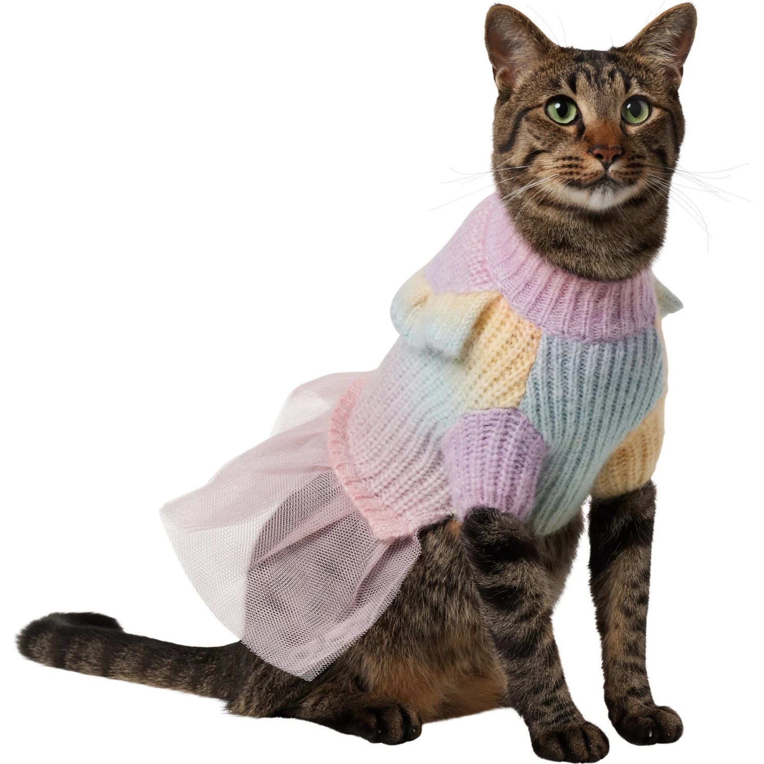 Frisco Rainbow Dog & Cat Sweater Dress 3 Frisco Rainbow Dog & Cat Sweater Dress