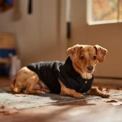 Frisco Quilted Fleece Dog & Cat Pullover Hoodie 18 Frisco Quilted Fleece Dog & Cat Pullover Hoodie -Frisco 721030 PT7. AC SS1800 V1692378399