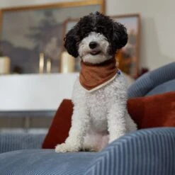 Frisco Reversible Cozy Knit Faux Fur Dog & Cat Pullover Bandana -Frisco 733918 PT6. AC SS1800 V1692378160