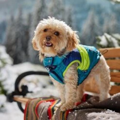 Frisco Heavy Weight Urban City Colorblock Dog & Cat Parka With Sherpa Lining -Frisco 742262 PT7. AC SS1800 V1692378161