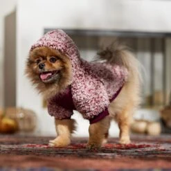 Frisco Textured Wubby 2-Tone Fleece Dog & Cat Hoodie 18 Frisco Textured Wubby 2-Tone Fleece Dog & Cat Hoodie -Frisco 742406 PT7. AC SS1800 V1692378336