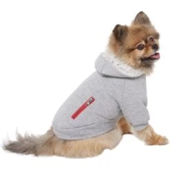 Frisco Sweatshirt Fleece Dog & Cat Hoodie With Sherpa Lining -Frisco 742550 PT2. AC SS1800 V1703194378