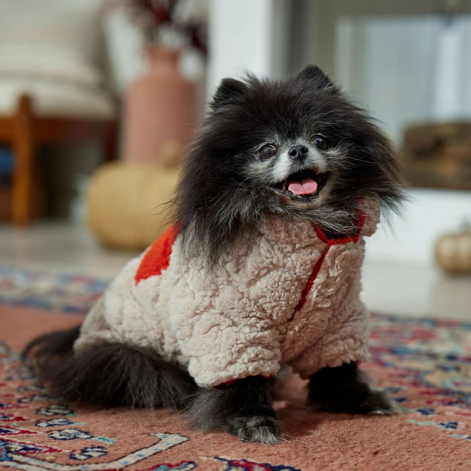 Frisco Medium Weight Quilted Sherpa Dog & Cat Zipper Coat 9 Frisco Medium Weight Quilted Sherpa Dog & Cat Zipper Coat - Image 7